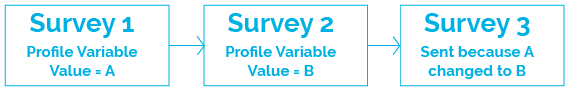 survey-workflow.png