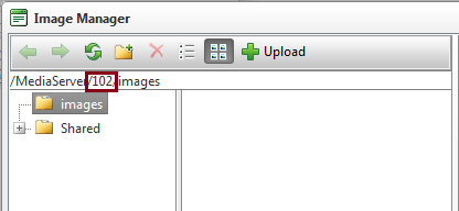 asset-manager.png