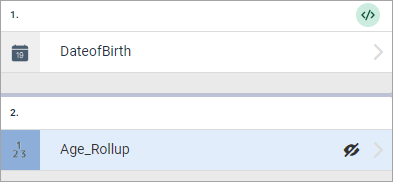 dob_age_rollup_survey_structure_2.png